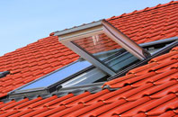 Randwick roof window