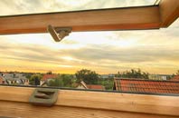 rated Randwick roof window companies